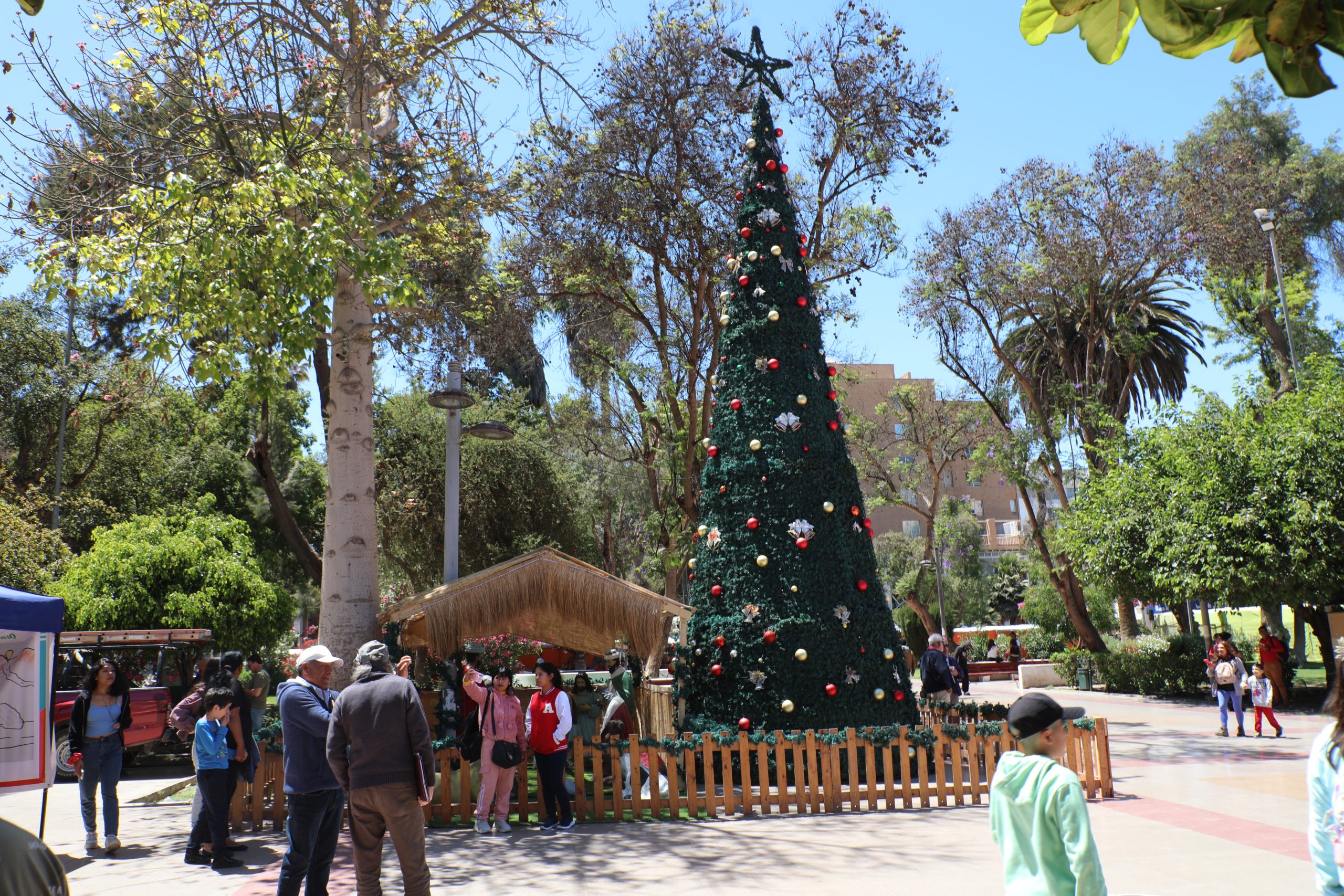 Este Martes Se Encender El Tradicional Rbol De Navidad En La Plaza De