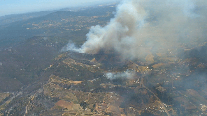 Onemi Solicita Evacuar El Sector Coyanco Por Reactivación De Incendio