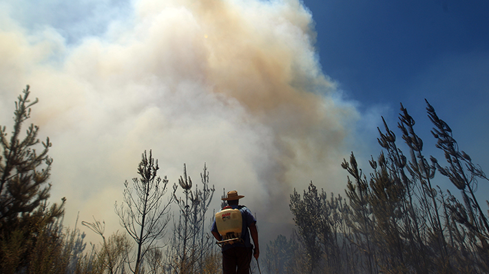 Incendio Forestal De Quillón Está Controlado Y Ya No Hay Comunas En